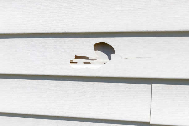 Affordable Siding Repair and Maintenance Services in Mayflower Village, CA